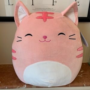 Squishmallows 16” PAULITA THE PINK CAT 🐱 NWT 🎁
